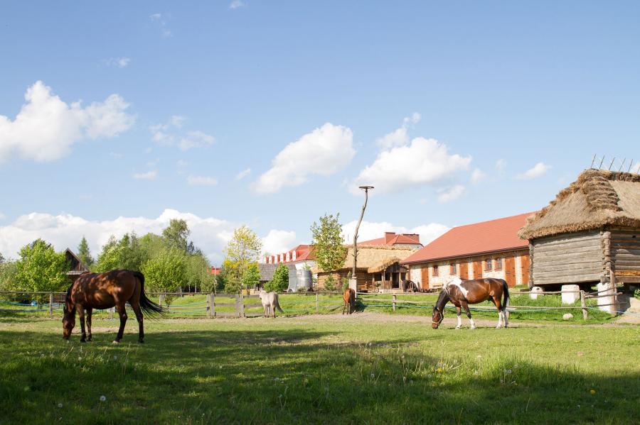 Stadnina koni z noclegiem na Roztoczu fot. Zagroda Roztocze